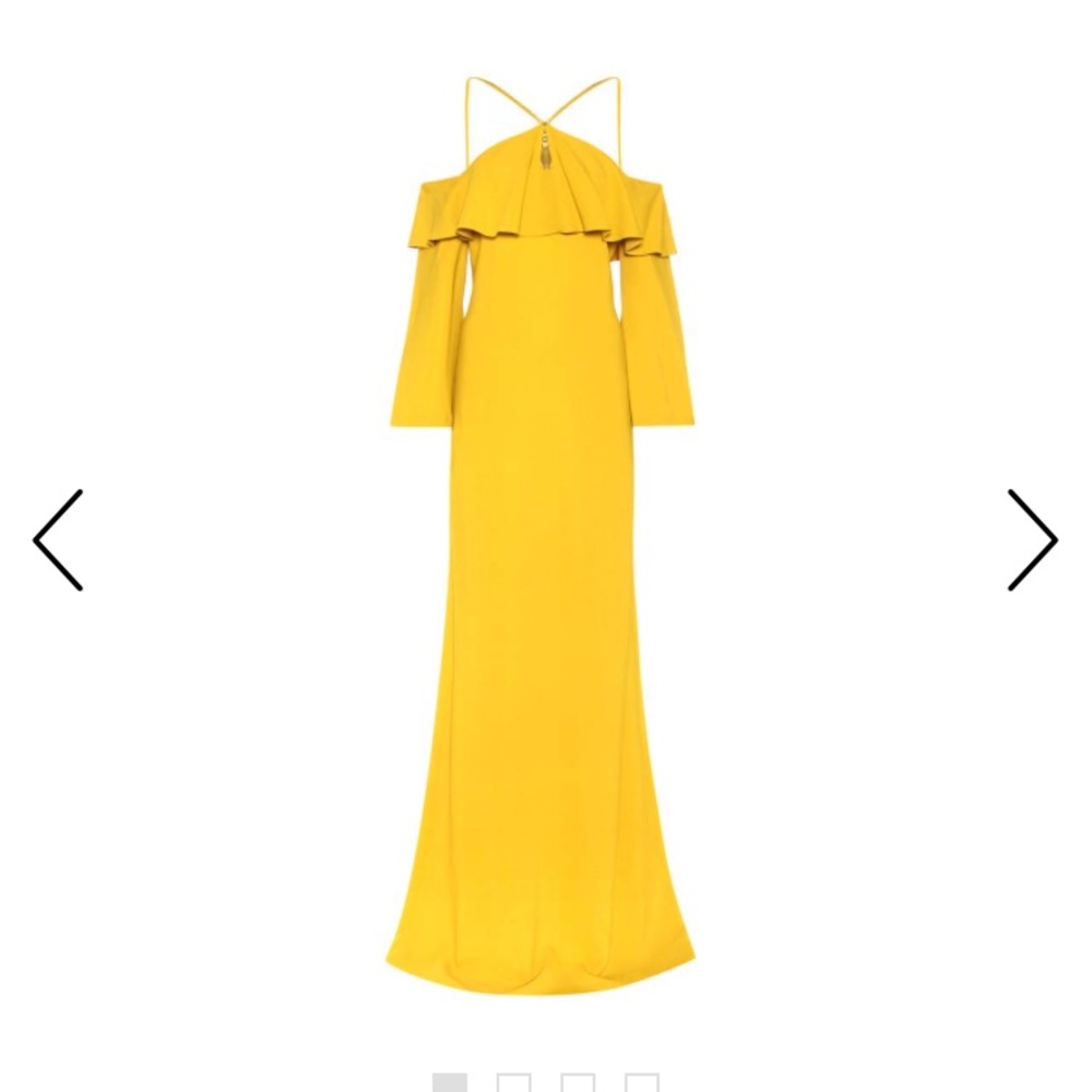 Roberto Cavalli Gown